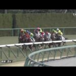 【競馬】ゴール版の影にびっくりしてジャンプするハギノモーリスくん