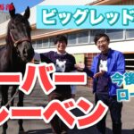 【競馬】ユーバーレーベンの話してたら近寄ってきた…