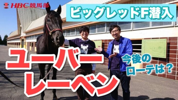 【競馬】ユーバーレーベンの話してたら近寄ってきた…