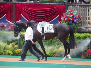 【競馬】シャフリヤールは坂に泣かされた！？アスコット競馬場のコースのエグさについて