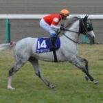 【競馬】近日デビュー予定で注目のゴールドシップ産駒「アオラキ」みんなは知ってる？