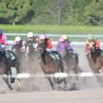 【競馬】競走馬の名前ってアウト、セーフの基準は存在するの？