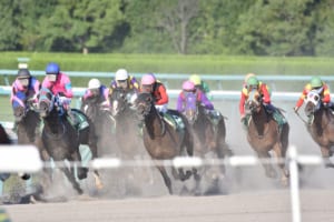 【競馬】名前がゲームによくある属性を感じさせる競走馬はどんな子が居る？