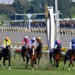 【競馬】勝ちを確信したけど負けてしまったレースは何がある？