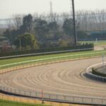 【競馬】新たに3歳ダート路線に「3冠競走」が創設！ダートレース大幅改革へ