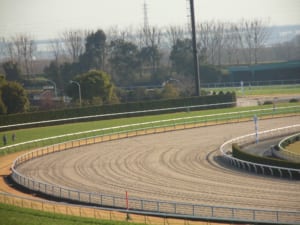 【競馬】新たに3歳ダート路線に「3冠競走」が創設！ダートレース大幅改革へ