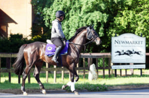 【競馬】プリンスオブウェールズSはかなりの小頭数となったけど、昔はこんなレースもあった