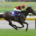 【競馬】グランアレグリア、後ろ脚をぴょんぴょんさせてる姿が可愛すぎる！