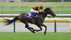 【競馬】グランアレグリア、後ろ脚をぴょんぴょんさせてる姿が可愛すぎる！