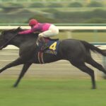 【競馬】三冠馬に小さい馬が多いのは何故？