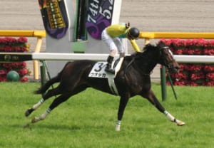 【競馬】谷水雄三オーナーが馬主を引退。馬主界隈の後継者について