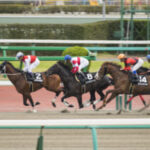 【競馬】付けられた馬名が戦績や脚質と一致してる競走馬って居るよね