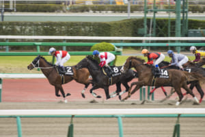 【競馬】付けられた馬名が戦績や脚質と一致してる競走馬って居るよね