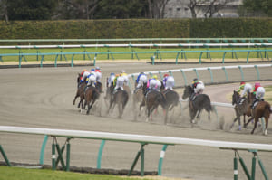 競馬ダートの砂の入れ替え作業入れ替えた後の砂はどうしてるのだろう