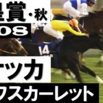 【競馬】実況アナウンサーのギアが上がる瞬間が好き