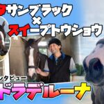 【競馬】キタスイの娘、ピエドラデルーナを管理する清水久厩舎のインタビュー動画が公開中！