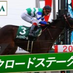 【競馬】騎手のガッツポーズ