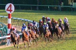 【競馬】中距離・長距離どちらのレースでも強い競走馬についての話