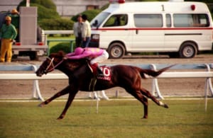 【競馬】もしもミホノブルボンが菊花賞以降も現役続行していたらどうなっただろう？