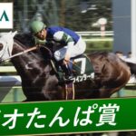 【競馬】JRAさん、七夕賞などツインターボの重賞勝ちレースを公開する