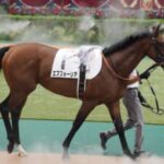 【競馬】エフフォーリア、身体の不調のため秋以降の予定は全て白紙へ　
