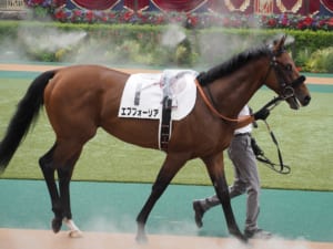 【競馬】エフフォーリア、身体の不調のため秋以降の予定は全て白紙へ　