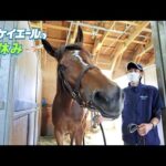 【競馬】特集「メイケイエールの夏休み」配信来てるわね