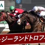 【競馬】藤田社長のジャングロ、次走はセントウルSを予定！メイケイエール、ソングラインと激突！