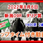 【ウマ娘民の反応】大井から中央に参戦したシテイタイケツ、ダリア賞は10着