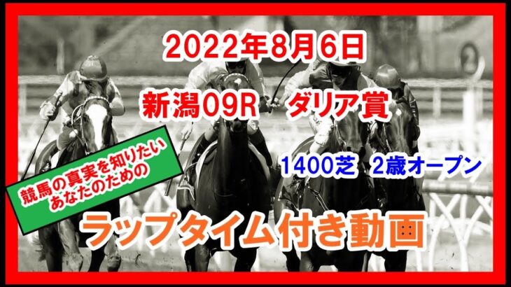 【ウマ娘民の反応】大井から中央に参戦したシテイタイケツ、ダリア賞は10着