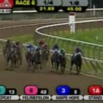 【競馬】海外にも珍名の馬っているんだね