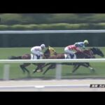 【競馬】ウマ娘から一口馬主始めたけど新馬戦勝って超燃えた ⇒ あの馬の一口かよ羨ましい！