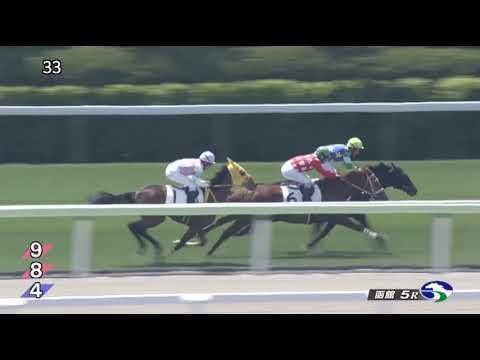 【競馬】ウマ娘から一口馬主始めたけど新馬戦勝って超燃えた ⇒ あの馬の一口かよ羨ましい！