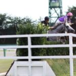 【競馬】芝とダートの二刀流が居たように平地と障害両方を走れる馬って居るのかな？