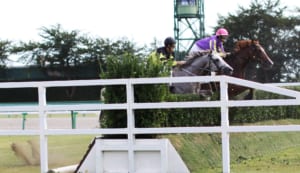 【競馬】芝とダートの二刀流が居たように平地と障害両方を走れる馬って居るのかな？