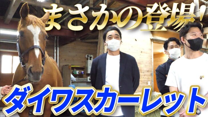 【競馬】ジャンポケ斉藤さんの動画にダイワスカーレット登場！