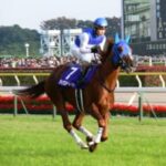 【競馬】ダイワスカーレットとカレンチャンはご飯を一緒に食べ合う仲