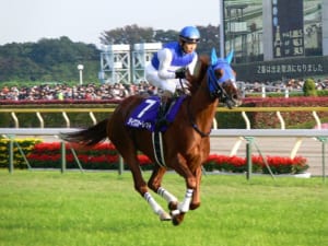 【競馬】ダイワスカーレットとカレンチャンはご飯を一緒に食べ合う仲