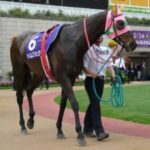 【競馬】テイエムの馬と言えば最初に思い浮かぶ競走馬はやはり…