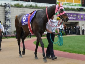 【競馬】テイエムの馬と言えば最初に思い浮かぶ競走馬はやはり…