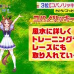 【ウマ娘】朝のニュース番組でコパノリッキーが取り上げられるｗｗｗ