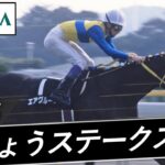 【競馬】JRAさん、札幌記念などエアグルーヴの重賞勝ちレースを公開！