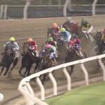 【競馬】12月27日生まれの『プリーミー』がデビュー戦を大差勝ち！