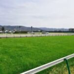 【競馬】凱旋門賞の結果を見て海外馬と日本馬の違いとは？