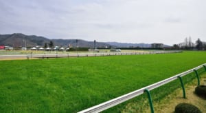 【競馬】凱旋門賞の結果を見て海外馬と日本馬の違いとは？