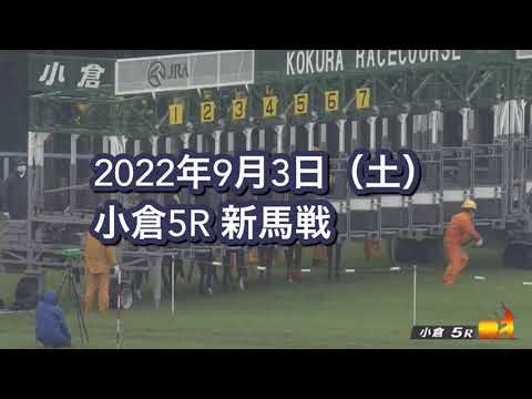 【競馬】「余裕があったな」藤田社長の『フロムダスク』新馬戦を勝利！