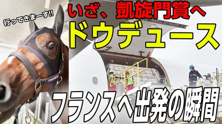 【競馬】ドウデュース飛行機の中でもずっと飯食ってる…