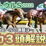 【ウマ娘】馬のダイワスカーレットっておバカなの？ウマ娘だとそんな感じしないけど