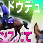 【競馬】ドウデュース、フランスでの調教映像が公開！迫力が凄い！