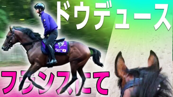 【競馬】ドウデュース、フランスでの調教映像が公開！迫力が凄い！